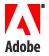 Adobe Solution Partner