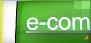 ecommerce solutions