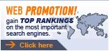 click here for our search engine optimisation services